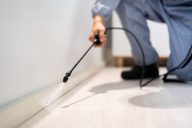 Licensed Pest Control service in Worthington, MN - Show Me Pest Control