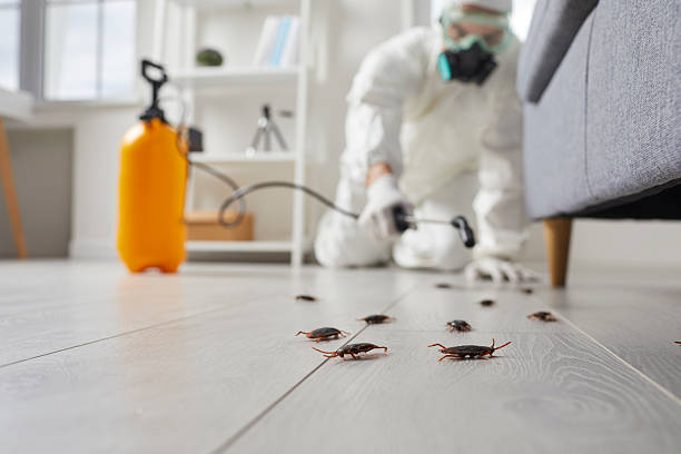 Commercial Kitchen Cockroach Control in Worthington